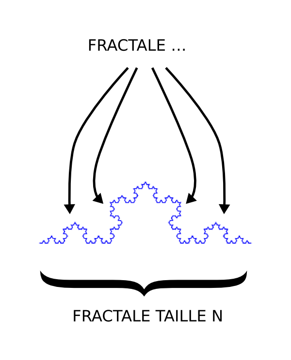 Définir fractale taille n